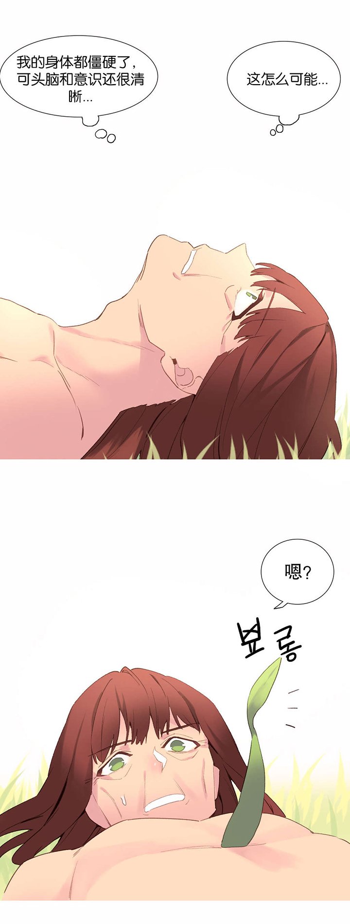 第41章：结局