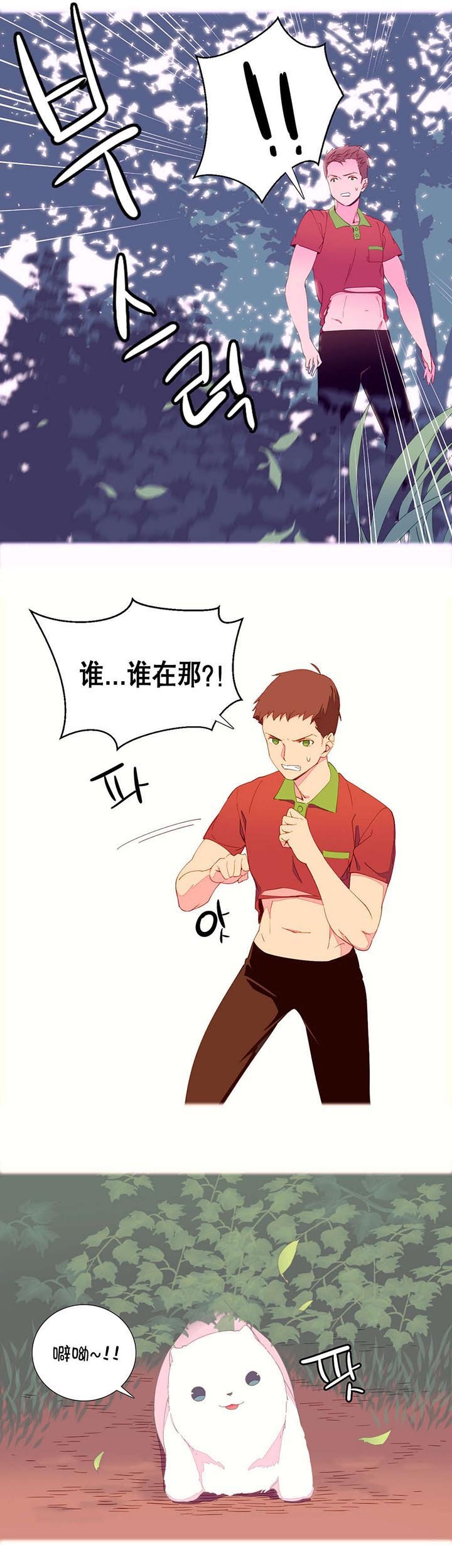第5章：土著