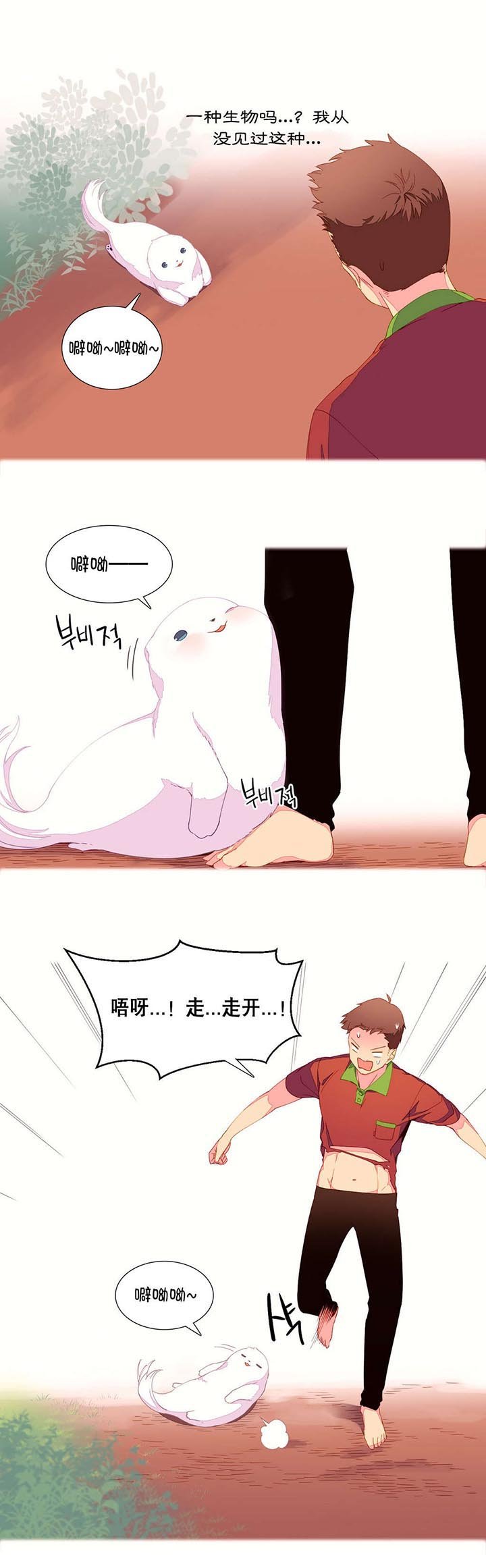 第5章：土著