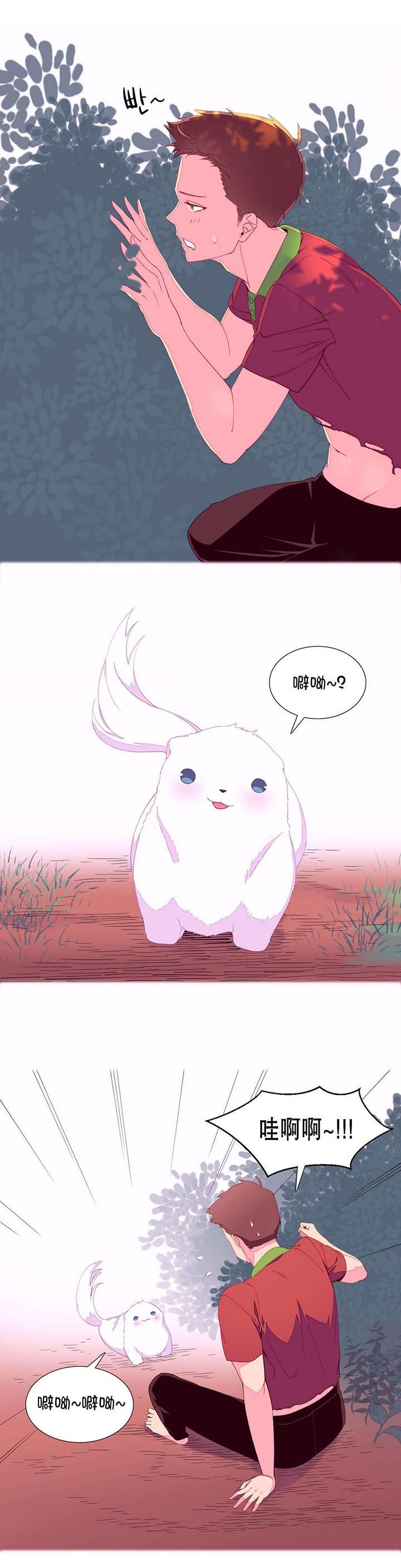 第5章：土著