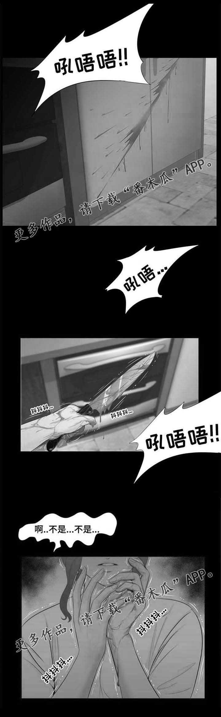 第32章：阴影