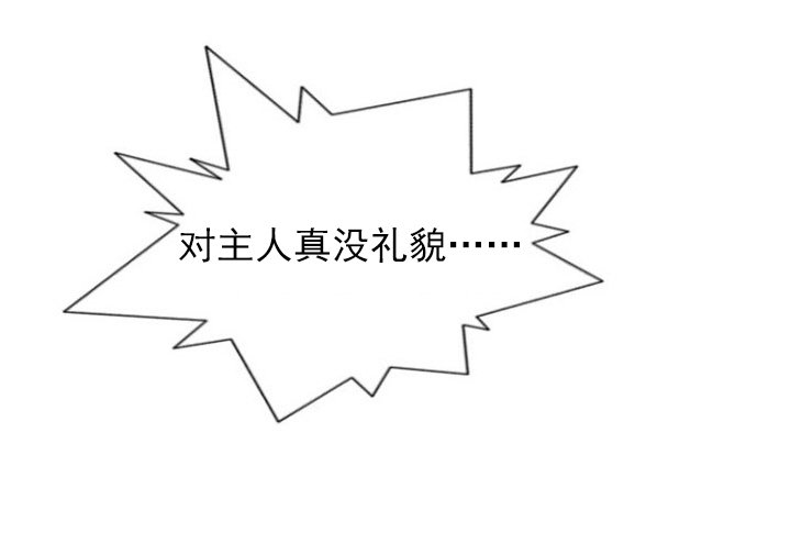 第33章：主人