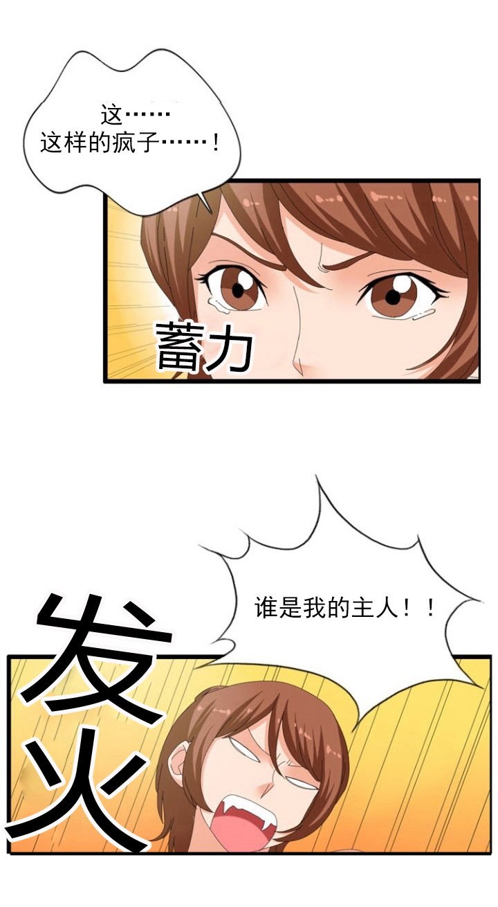 第33章：主人