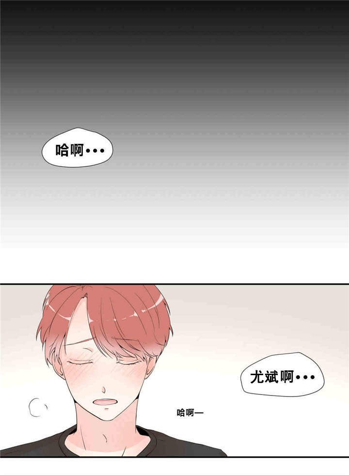 第14章：表现明显