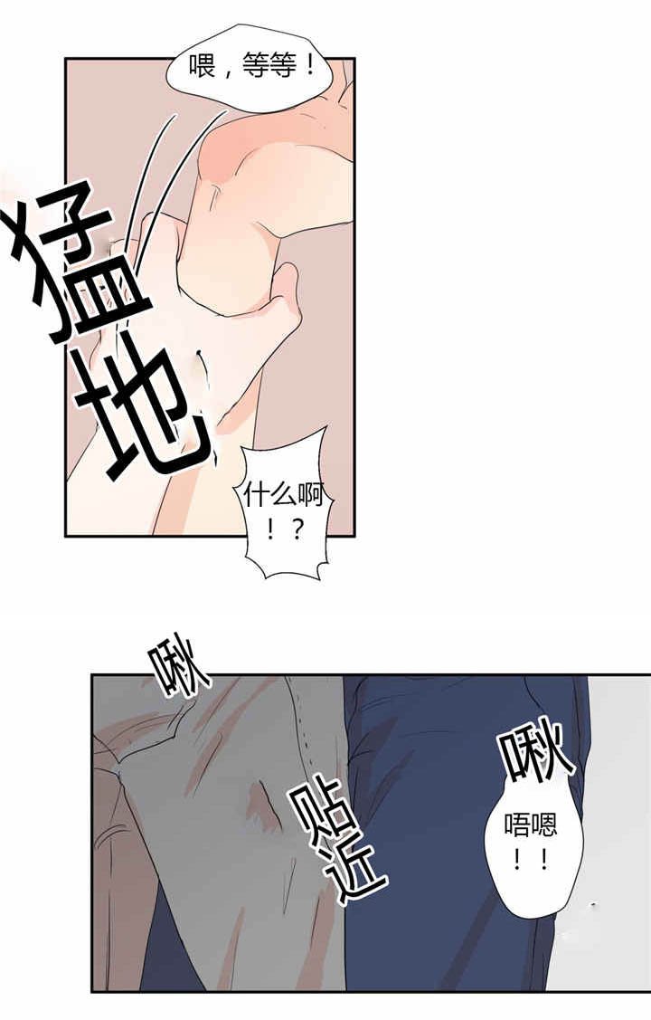 第40章：我喜欢你