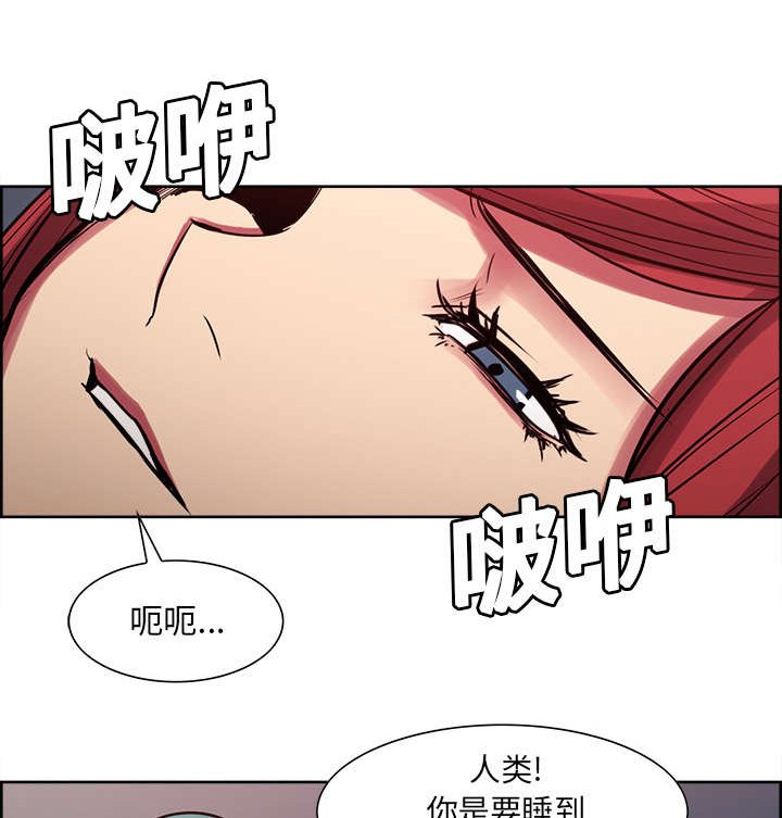 第21章：征服