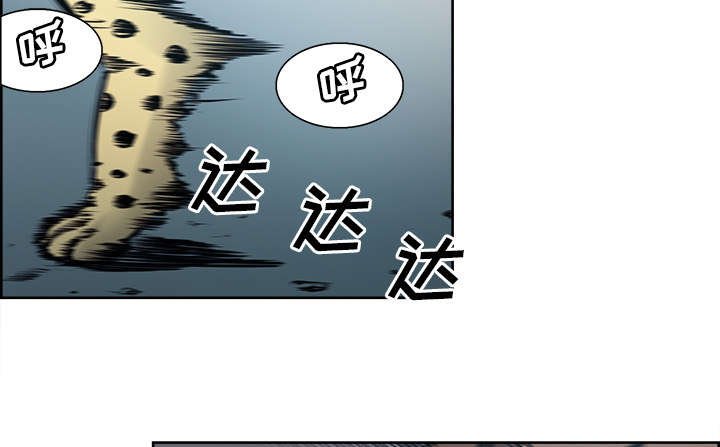 第29章：解除误会