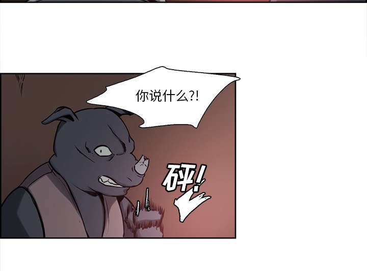 第29章：解除误会