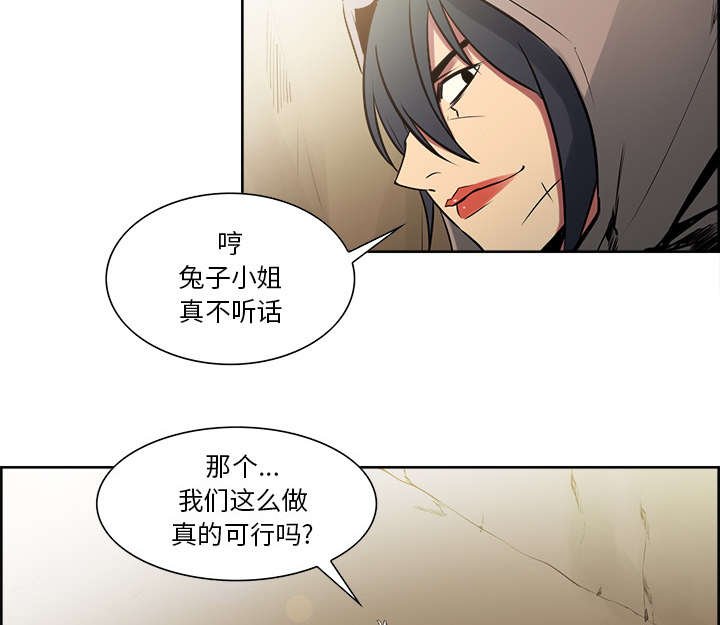 第30章：伪装