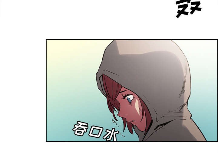 第30章：伪装