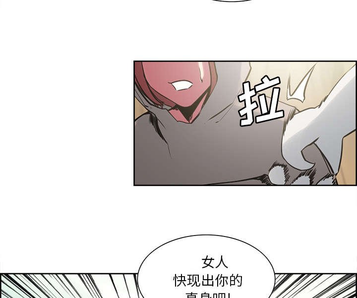 第30章：伪装