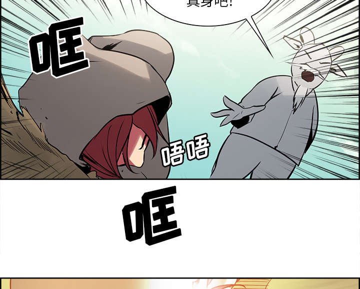 第30章：伪装