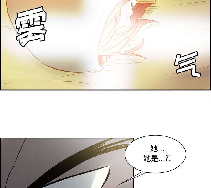第30章：伪装