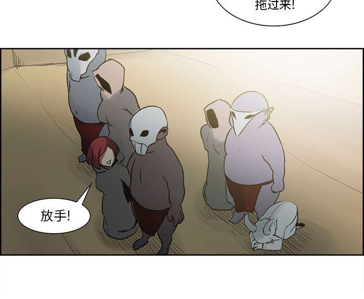 第30章：伪装