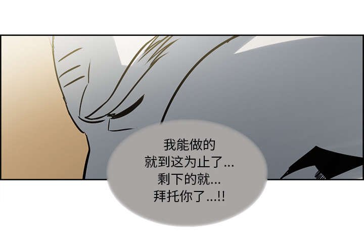 第30章：伪装