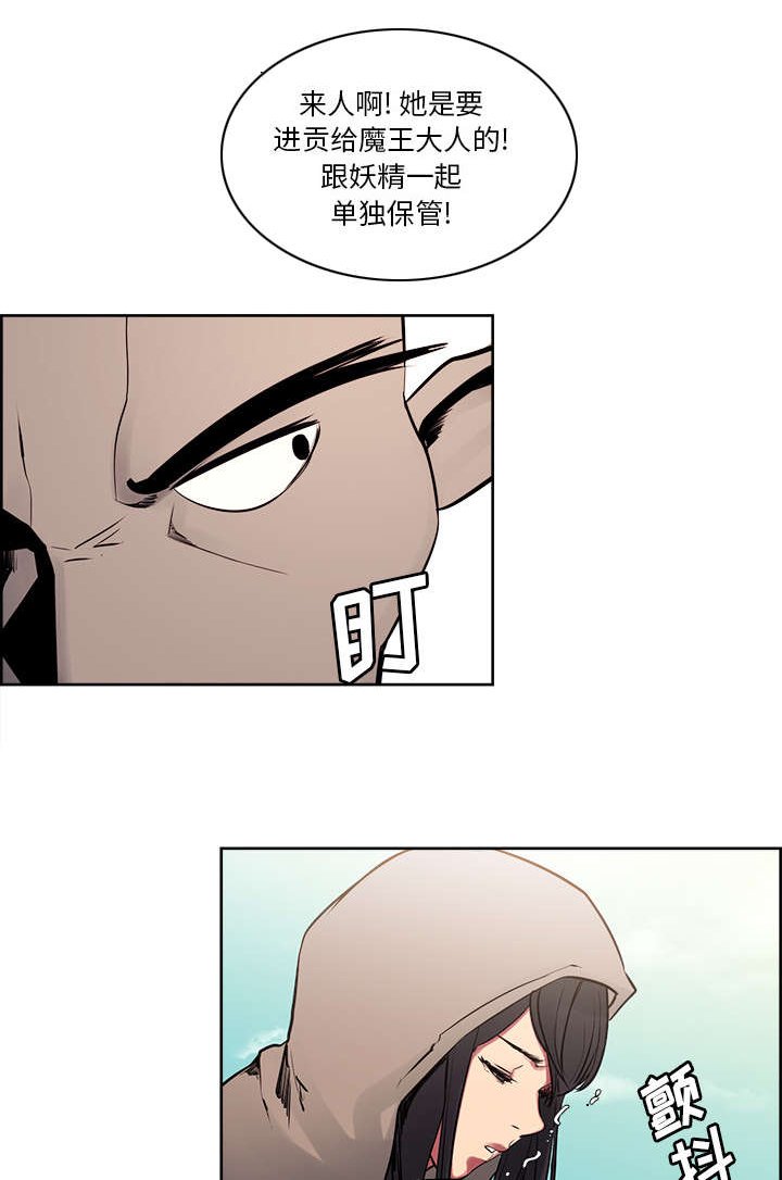 第30章：伪装