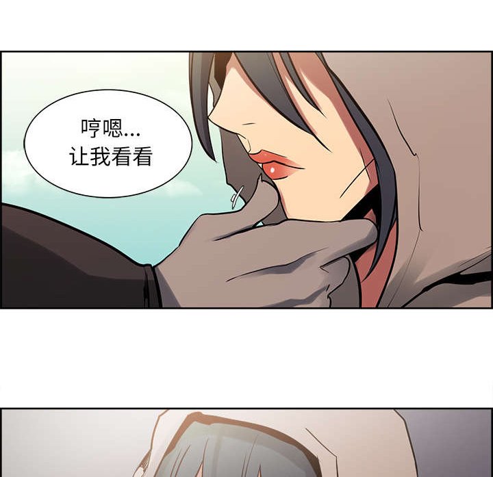 第30章：伪装