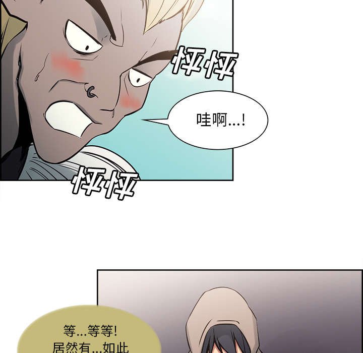 第30章：伪装