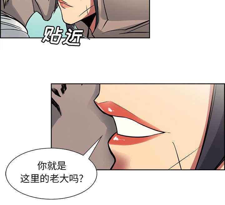 第30章：伪装