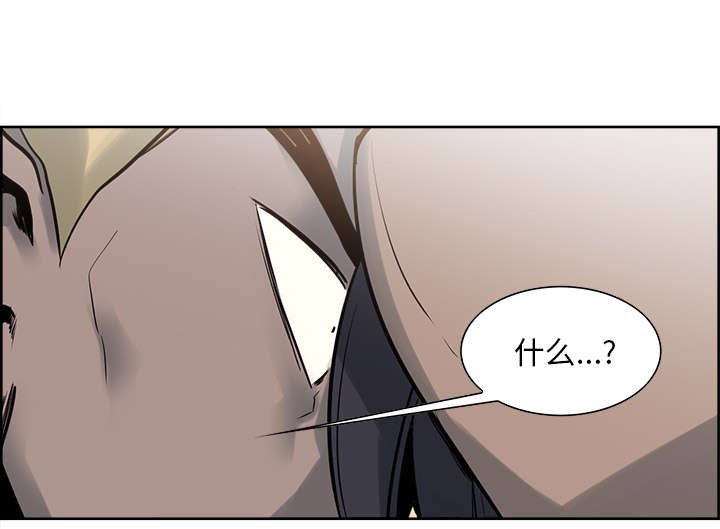 第30章：伪装