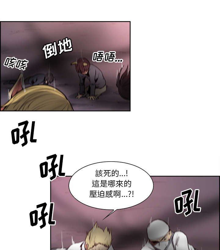 第41章：来自中原