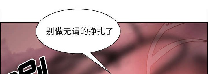 第41章：来自中原