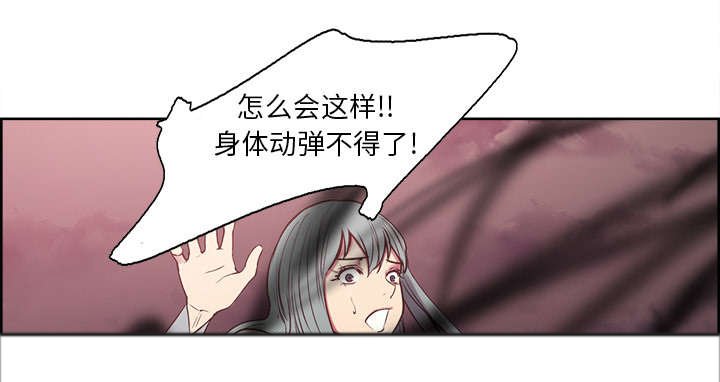 第41章：来自中原