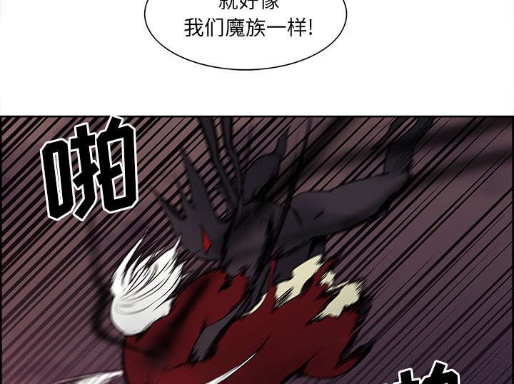 第41章：来自中原