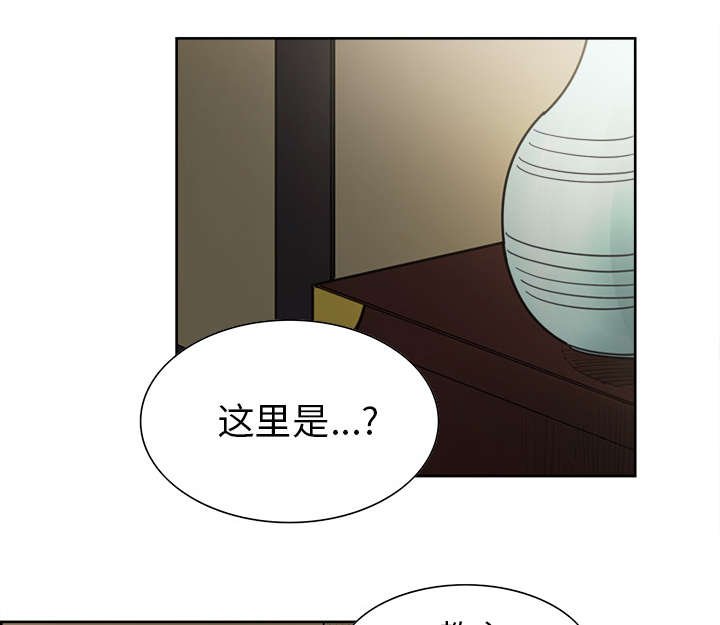 第43章：回到原来的世界（完）