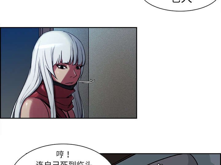 第8章：白影子军团
