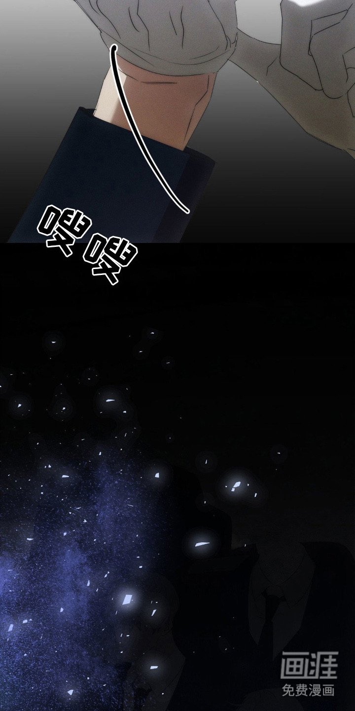 第13章：营救行动