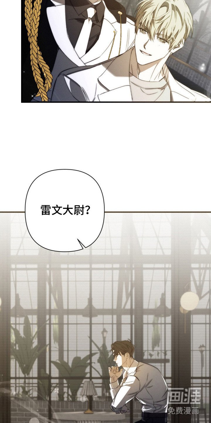 第17章：情感累积