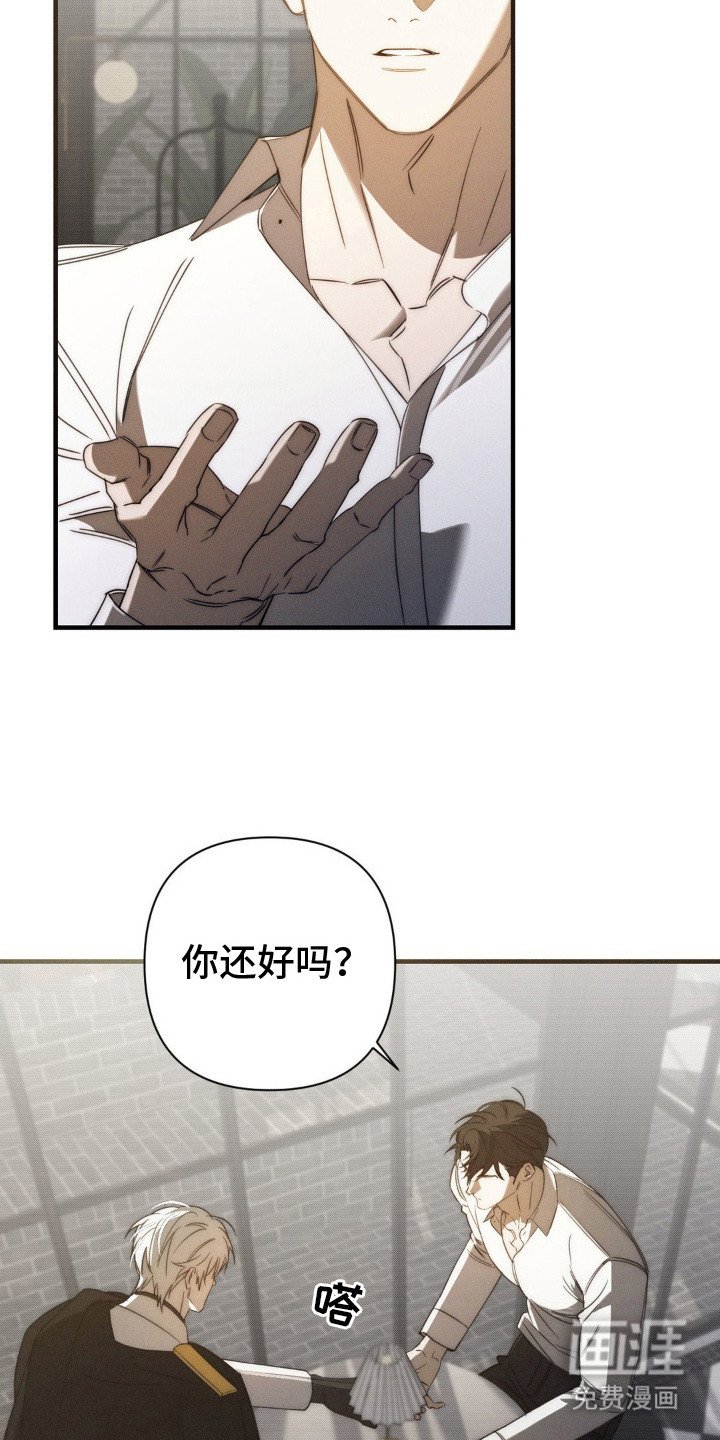 第17章：情感累积