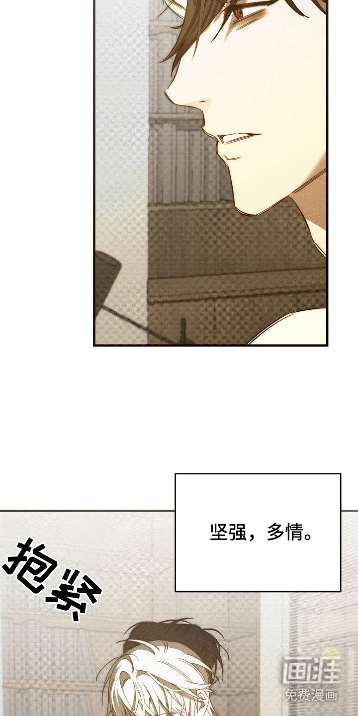 第17章：情感累积