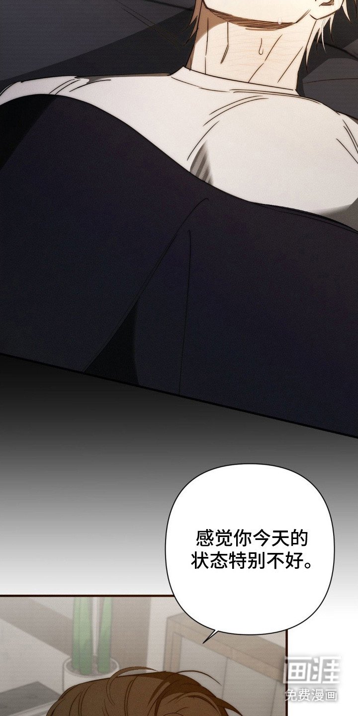第17章：情感累积