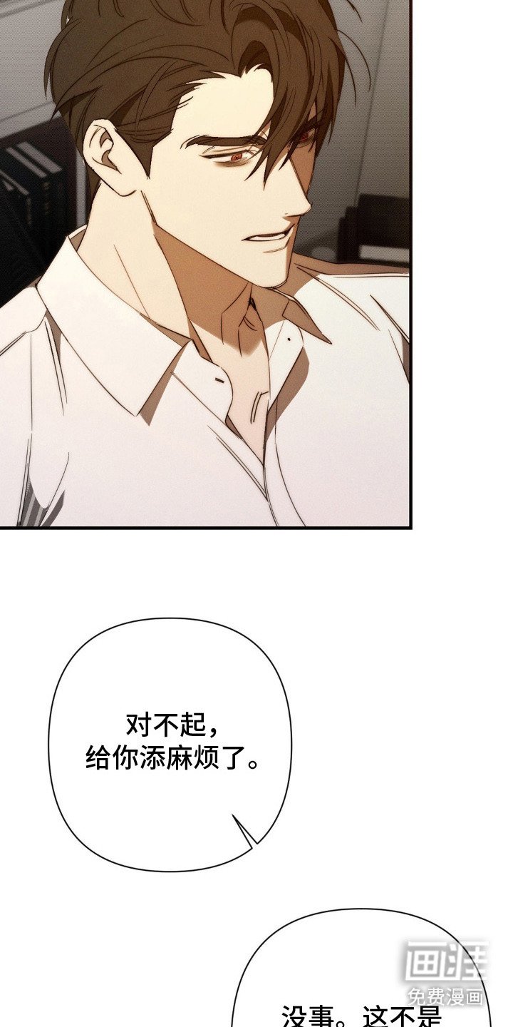第17章：情感累积