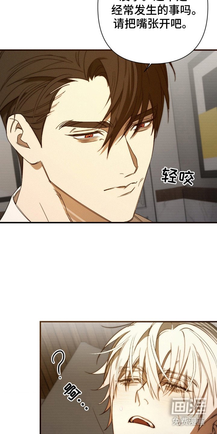 第17章：情感累积