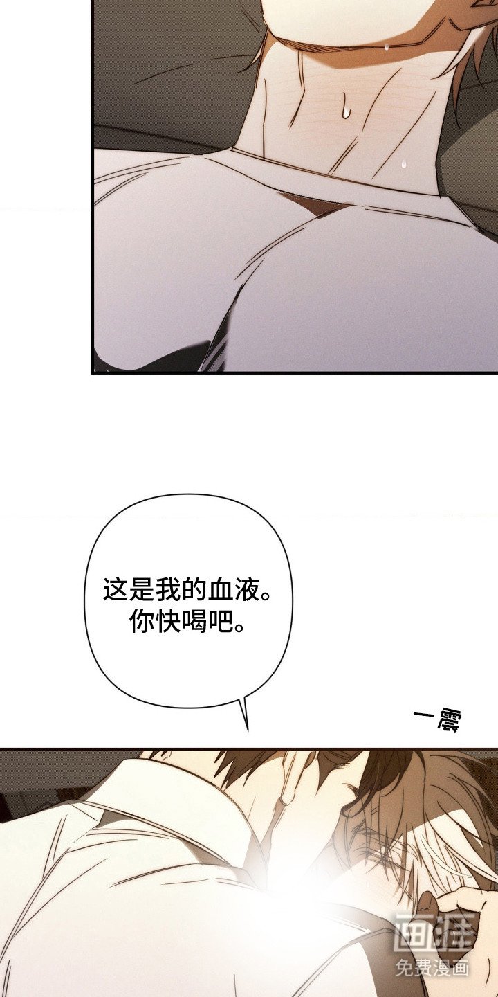 第17章：情感累积
