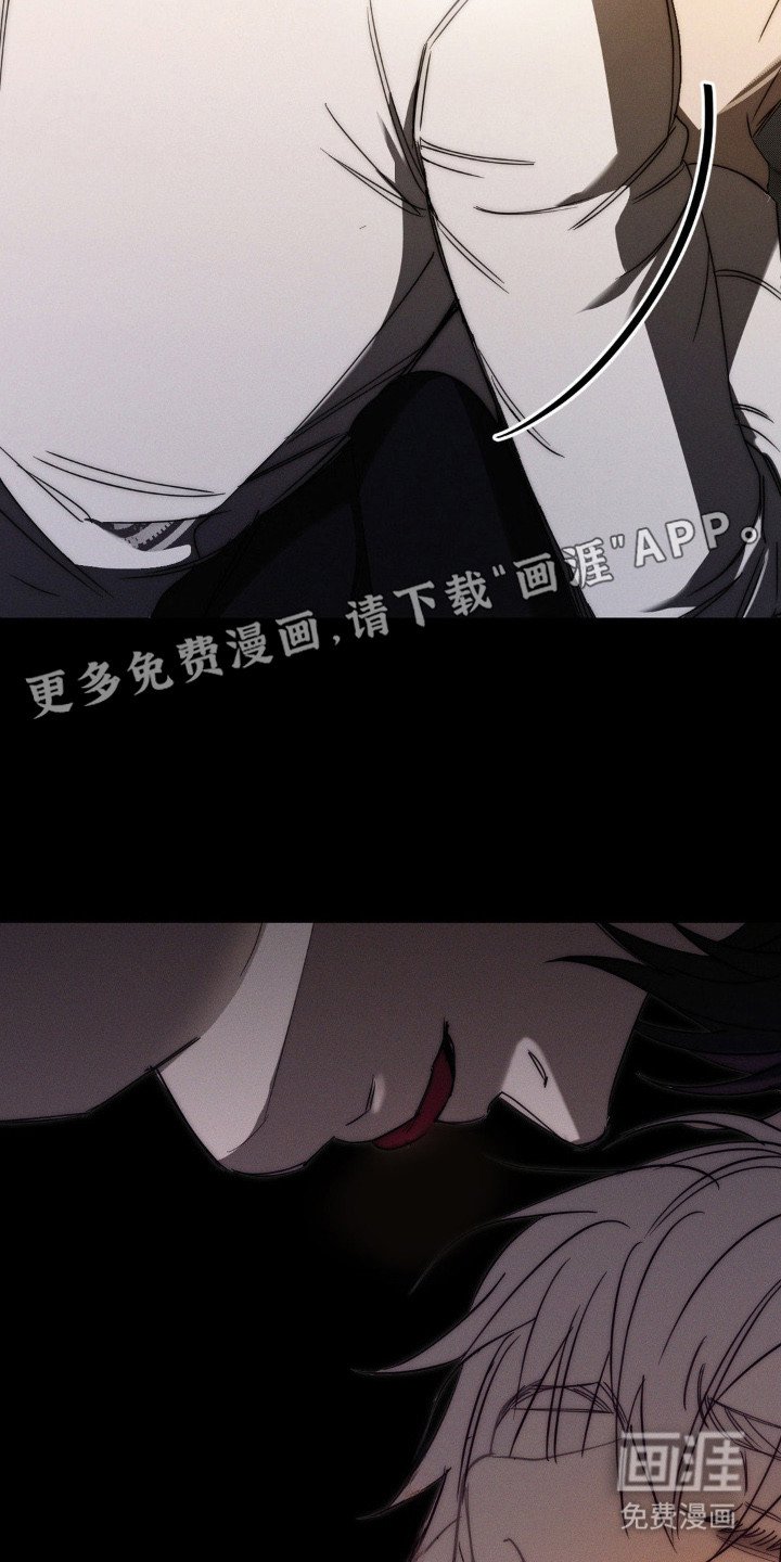 第17章：情感累积