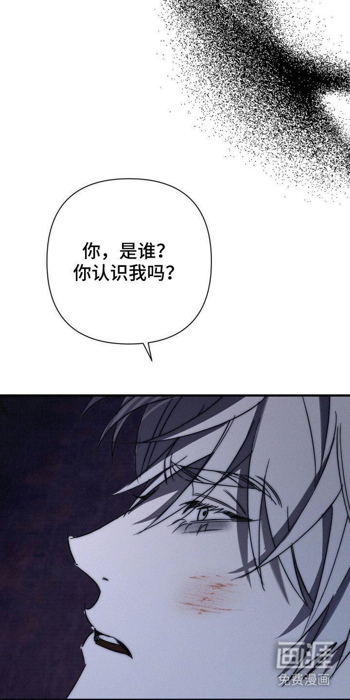 第19章：目的