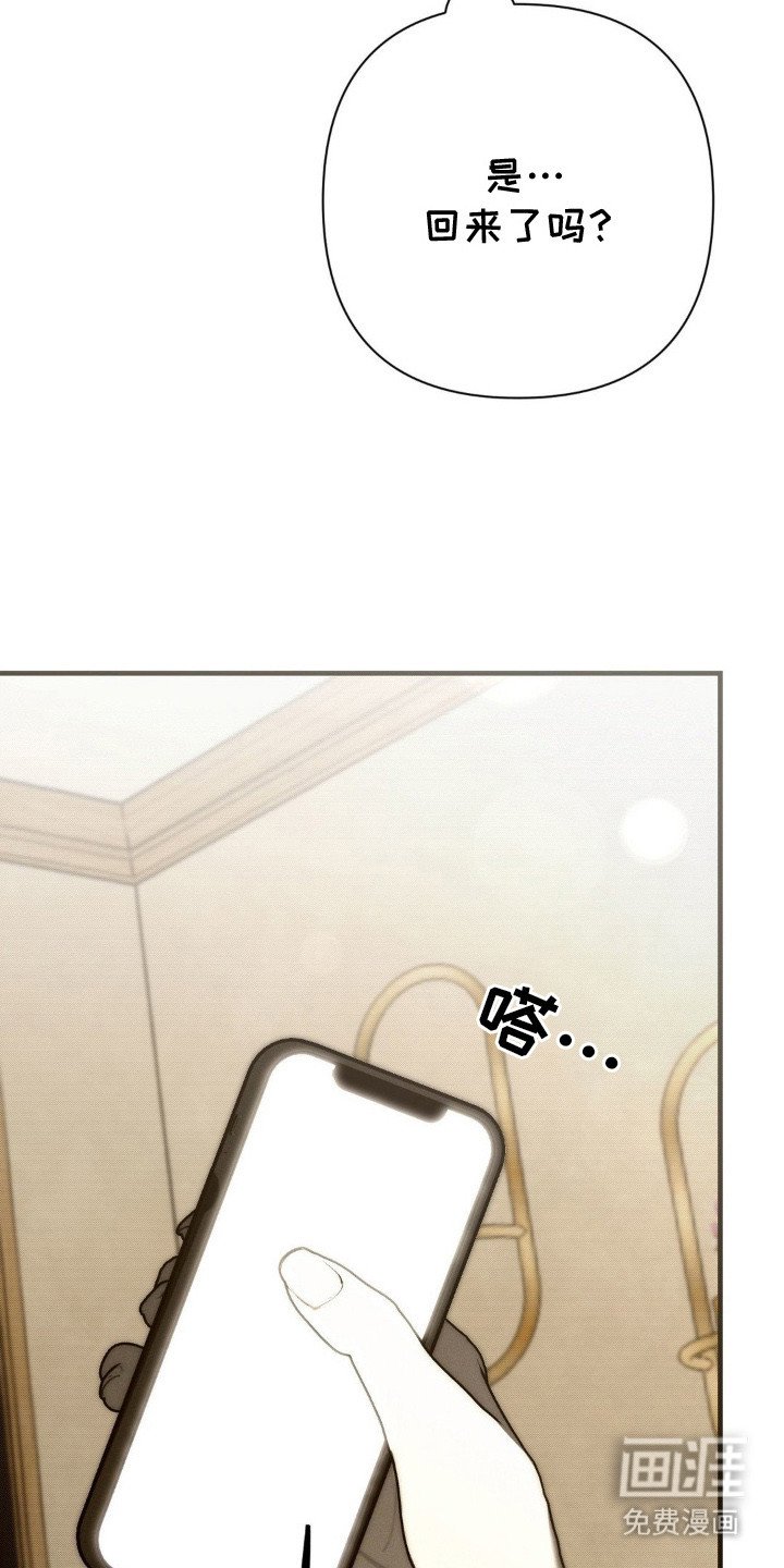 第24章：回来了（完结）