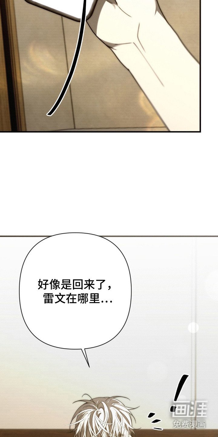 第24章：回来了（完结）