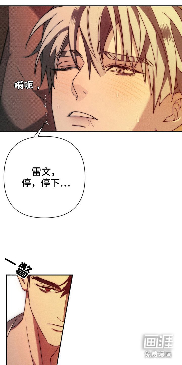 第7章：义务