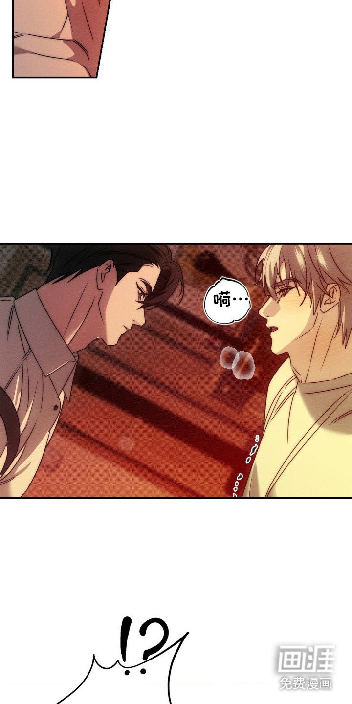 第7章：义务
