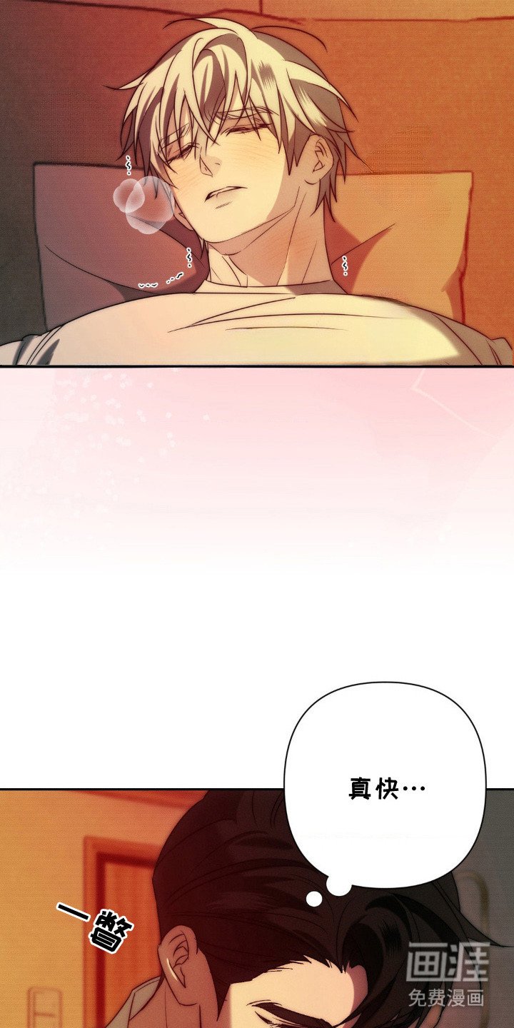 第7章：义务