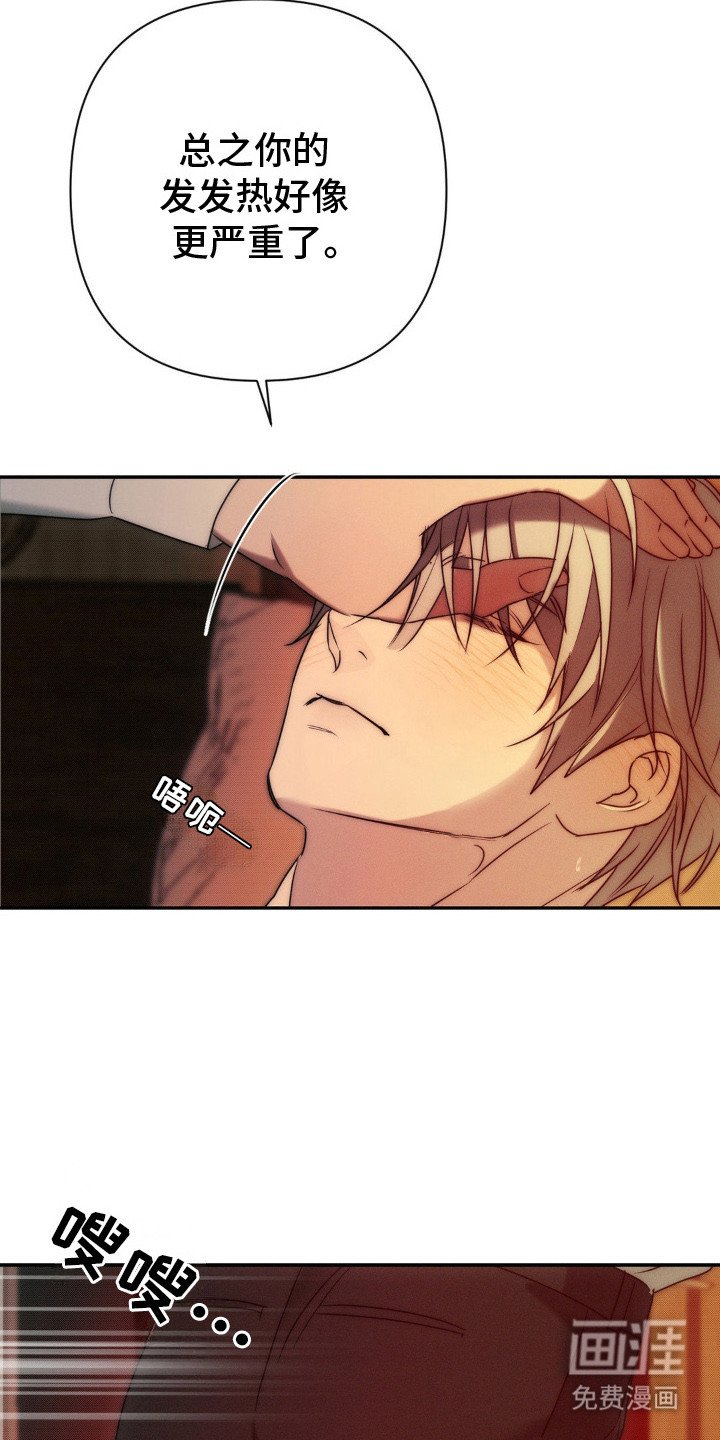 第7章：义务