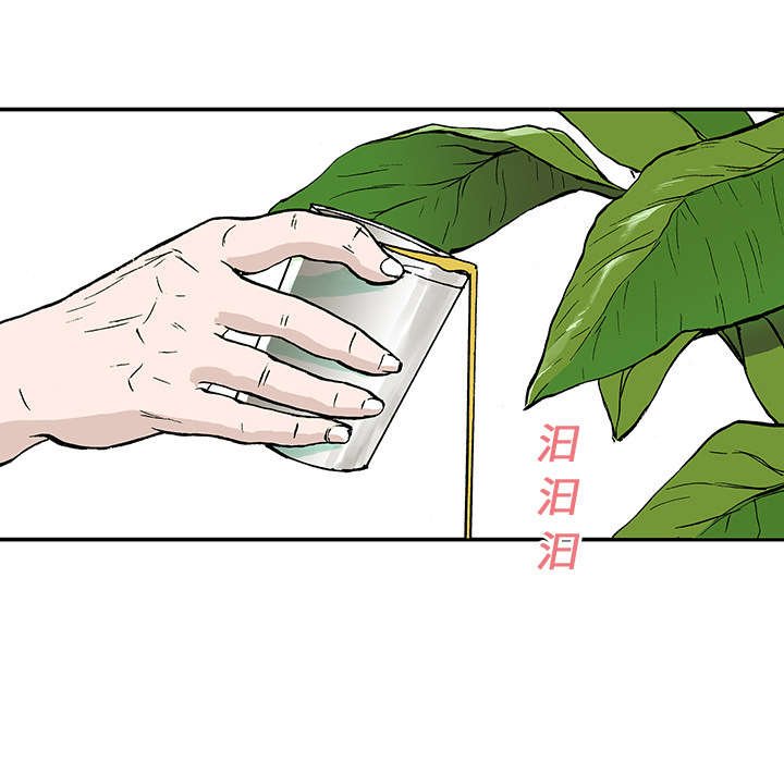 第17章：差距