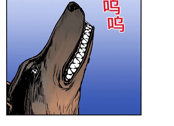 第27章：抓捕金文植