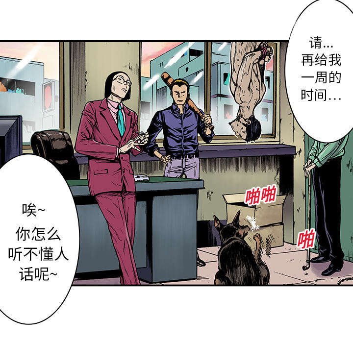 第27章：抓捕金文植