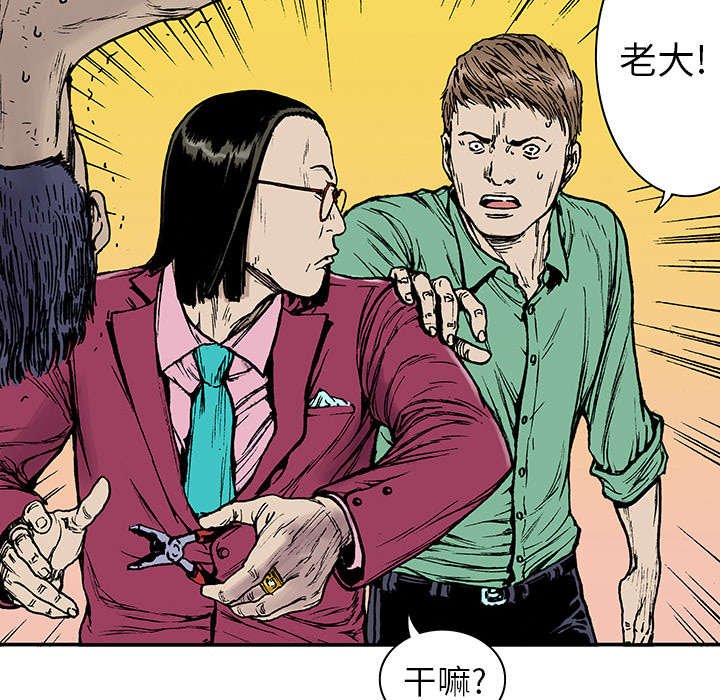 第27章：抓捕金文植